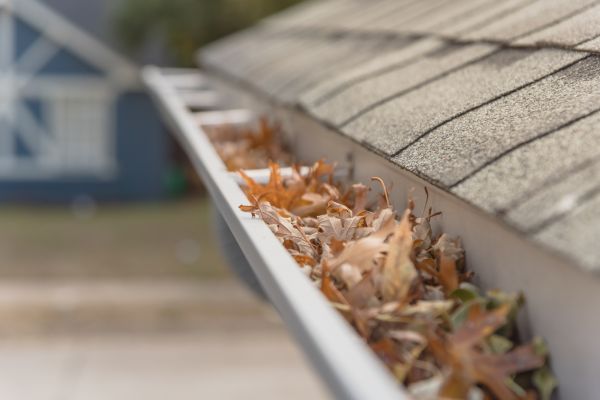 Leaf Barrier Installation in Ellenwood